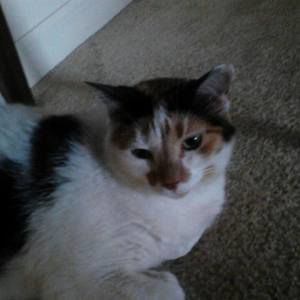 Meet your Posher, April